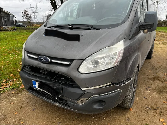 Kitsekahjustuse likvideerimine