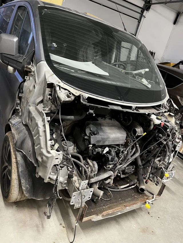 Kitsekahjustuse likvideerimine